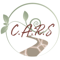 Cape Addiction Recovery Specialists